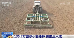 “农机+农技”“机械+人工”提质增效 秋收冬种